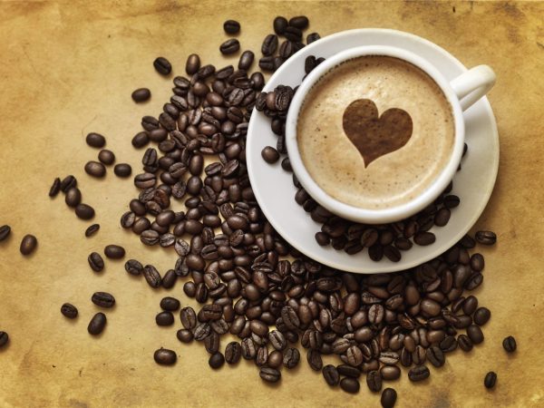 Chocolate Hazelnut Coffee Pods